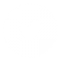 twitter icon