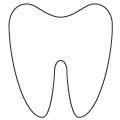 dental